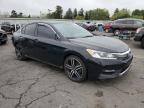 2017 Honda Accord Sport Special Edition