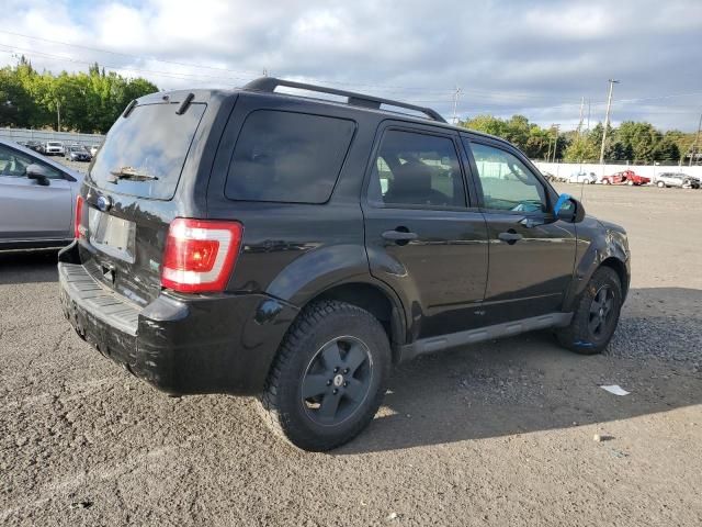 2011 Ford Escape XLT