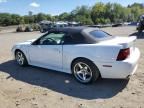 2001 Ford Mustang Cobra SVT