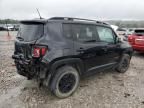 2018 Jeep Renegade Trailhawk