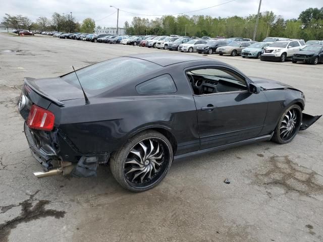 2010 Ford Mustang