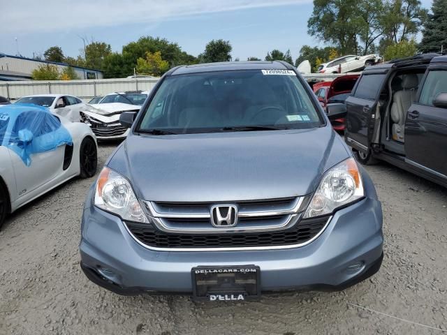 2010 Honda CR-V EX