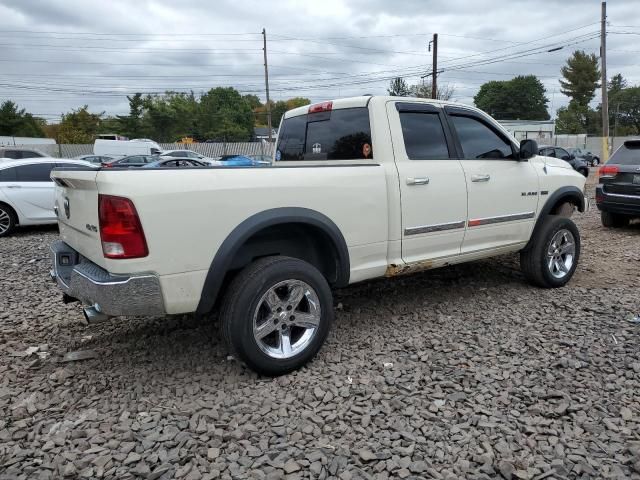 2010 Dodge RAM 1500