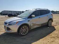 Salvage cars for sale at Conway, AR auction: 2015 Ford Escape SE