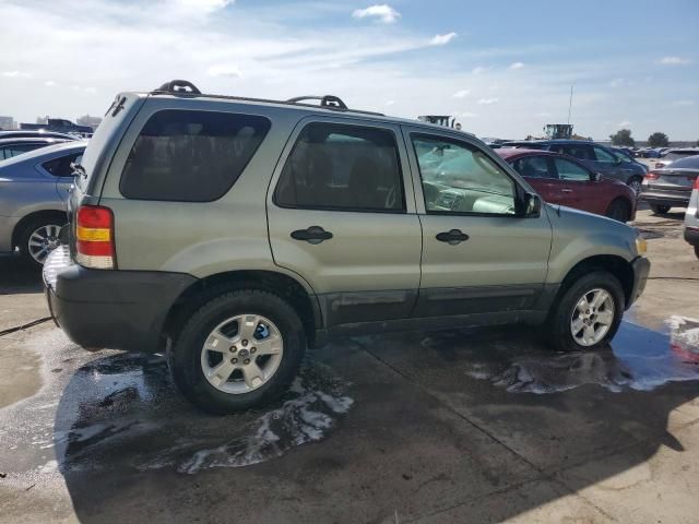 2005 Ford Escape XLT