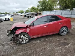 Salvage cars for sale at London, ON auction: 2013 KIA Forte EX