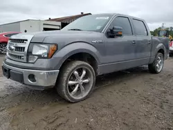 Salvage trucks for sale at Greenwell Springs, LA auction: 2014 Ford F150 Supercrew