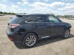 2013 Lexus RX 450H