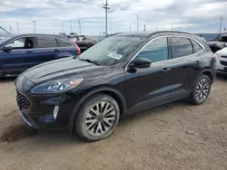 Salvage cars for sale at Greenwood, NE auction: 2020 Ford Escape Titanium