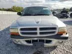 2002 Dodge Dakota Quad Sport