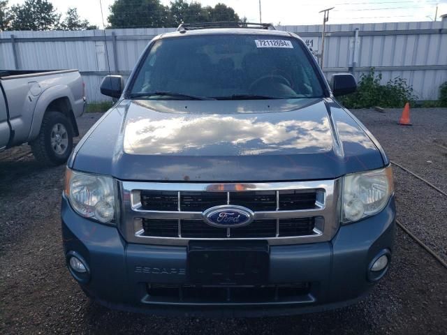 2011 Ford Escape XLT