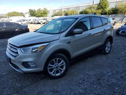 Ford salvage cars for sale: 2017 Ford Escape SE