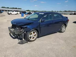 Salvage cars for sale at Harleyville, SC auction: 2013 Toyota Corolla Base