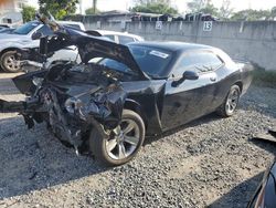 Salvage cars for sale at Opa Locka, FL auction: 2019 Dodge Challenger SXT