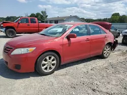 Toyota Vehiculos salvage en venta: 2011 Toyota Camry Base