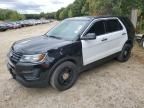 2019 Ford Explorer Police Interceptor