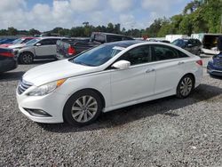 Hyundai Sonata se Vehiculos salvage en venta: 2014 Hyundai Sonata SE