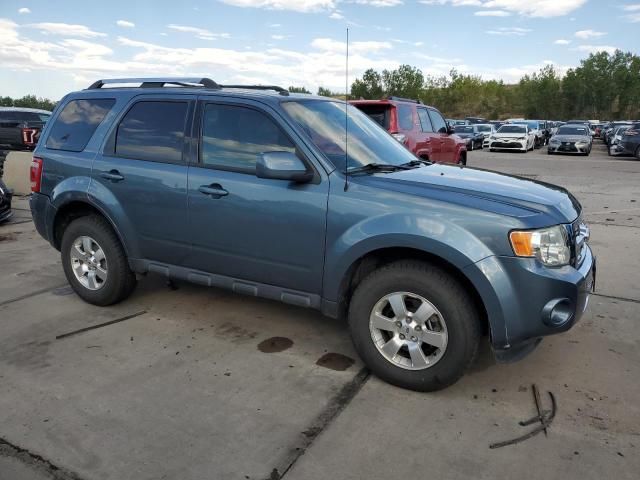 2010 Ford Escape Limited