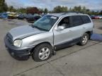 2006 Hyundai Santa FE GLS