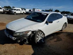 Salvage cars for sale at Mocksville, NC auction: 2010 Honda Accord EXL