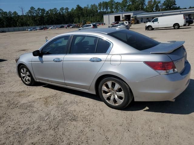 2010 Honda Accord EXL