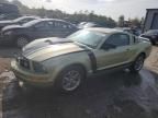 2005 Ford Mustang