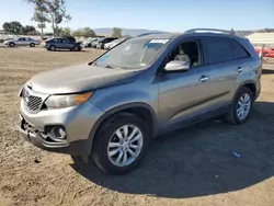 Salvage cars for sale at San Martin, CA auction: 2011 KIA Sorento EX