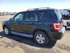 2008 Ford Escape HEV