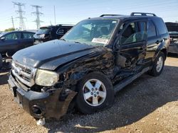 Salvage cars for sale at Elgin, IL auction: 2012 Ford Escape XLT