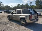 2002 Chevrolet Trailblazer