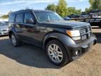 2010 Dodge Nitro SXT