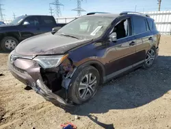 Salvage cars for sale at Elgin, IL auction: 2016 Toyota Rav4 LE