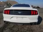 2023 Ford Mustang