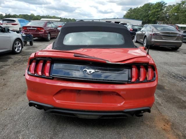 2019 Ford Mustang