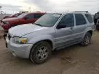 2004 Ford Escape Limited