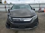 2019 Honda Odyssey EXL