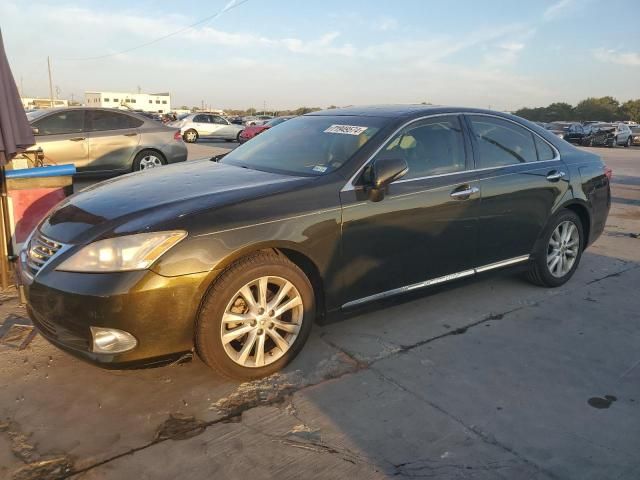 2011 Lexus ES 350