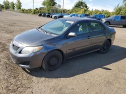 Toyota Vehiculos salvage en venta: 2009 Toyota Corolla Base