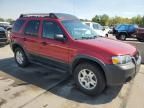 2005 Ford Escape XLT