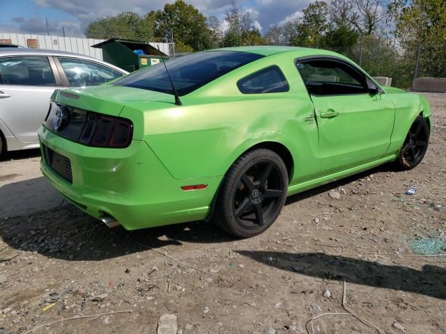 2014 Ford Mustang