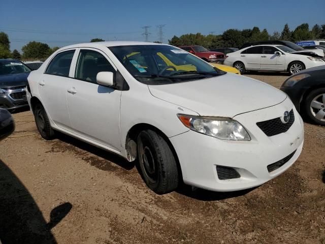 2010 Toyota Corolla Base