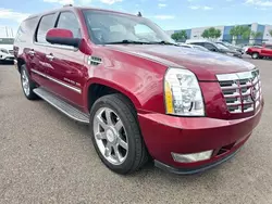 2011 Cadillac Escalade ESV Luxury en venta en Phoenix, AZ