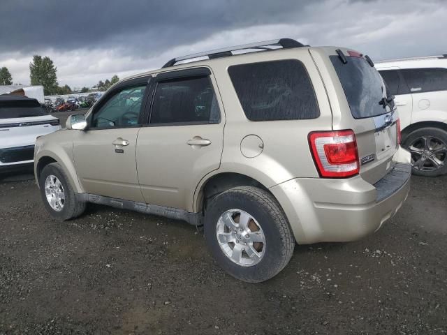 2010 Ford Escape Limited