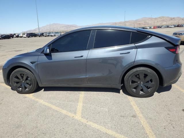 2020 Tesla Model Y