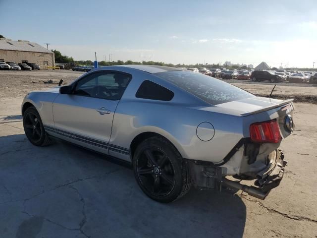 2010 Ford Mustang