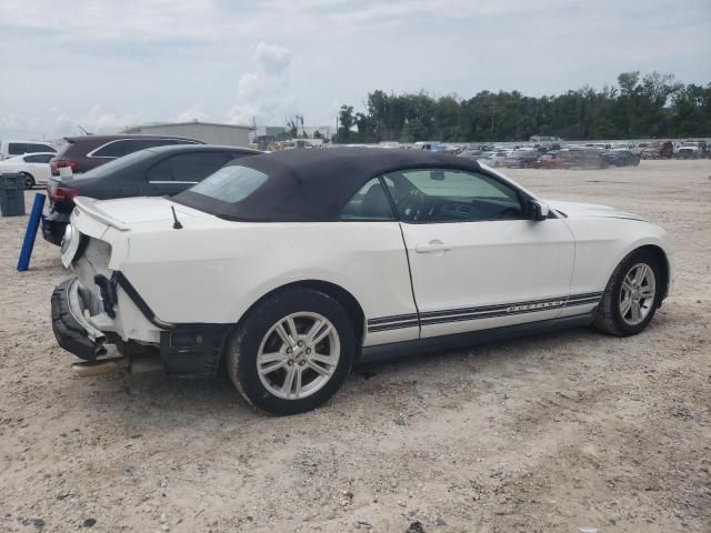 2010 Ford Mustang