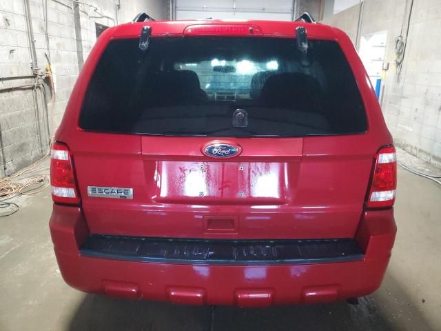 2010 Ford Escape XLT