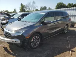 Salvage cars for sale at Bowmanville, ON auction: 2022 Honda Odyssey EXL