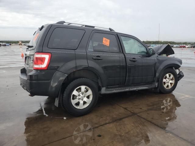 2011 Ford Escape Limited