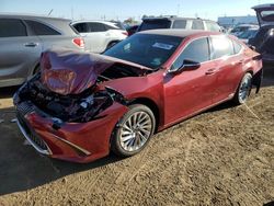 Salvage cars for sale at Brighton, CO auction: 2019 Lexus ES 300H